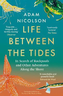 Life Between the Tides: In Search of Rockpools and Other Adventures Along the Shore - Adam Nicolson - cover
