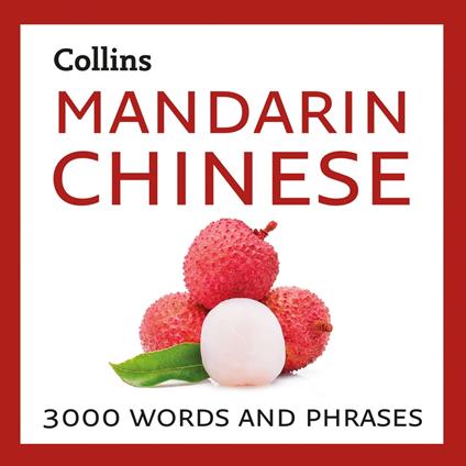 Learn Mandarin Chinese