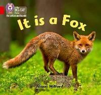 It is a Fox: Band 02b/Red B - Alison Milford - cover