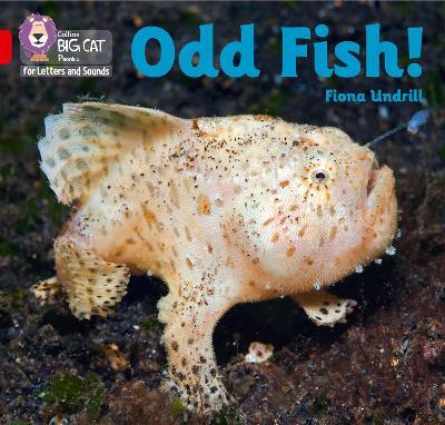 Odd Fish!: Band 02b/Red B - Fiona Undrill - cover