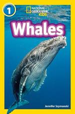 Whales: Level 1