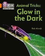 Animal Tricks: Glow in the Dark: Band 06/Orange