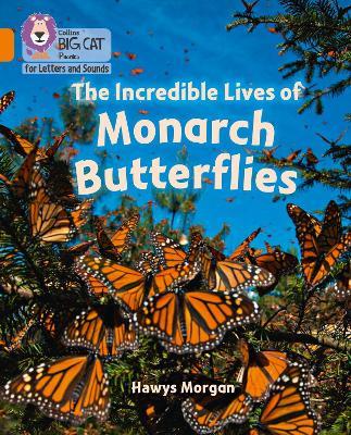 The Incredible Lives of Monarch Butterflies: Band 06/Orange - Hawys Morgan - cover
