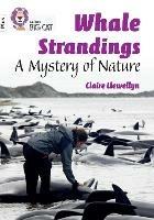 Whale Strandings: A Mystery of Nature: Band 10+/White Plus
