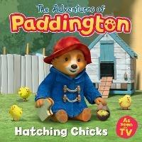 Hatching Chicks - HarperCollins Children’s Books - cover