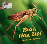 Buzz, Hop, Zip!: Phase 2 Set 5 - Samantha Montgomerie - cover