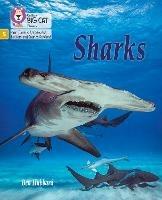 Sharks: Phase 5 Set 1 - Ben Hubbard - cover