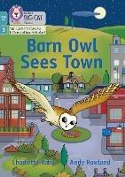 Barn Owl Sees Town: Phase 3 Set 1 Blending Practice - Charlotte Raby - cover