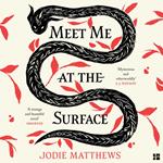 Meet Me at the Surface: A haunting and literary debut novel inspired by Cornish folklore; ‘Strange and beautiful’ Observer