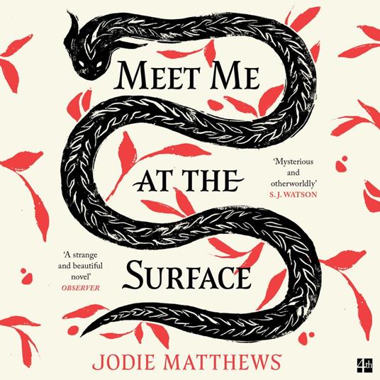 Meet Me at the Surface: A haunting and literary debut novel inspired by Cornish folklore; ‘Strange and beautiful’ Observer