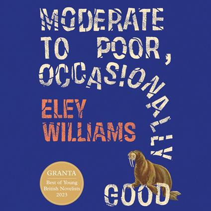 Moderate to Poor, Occasionally Good: Shortlisted for the 2025 Dylan Thomas Prize