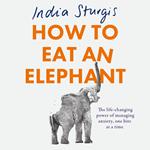 How to Eat an Elephant: A transformative autobiography on managing anxiety by successful journalist India Sturgis