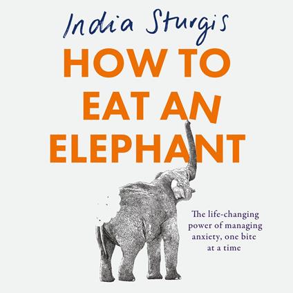 How to Eat an Elephant