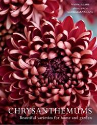 Chrysanthemums: Beautiful Varieties for Home and Garden