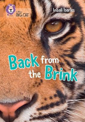 Back from the Brink: Band 12/Copper - Inbali Iserles - cover