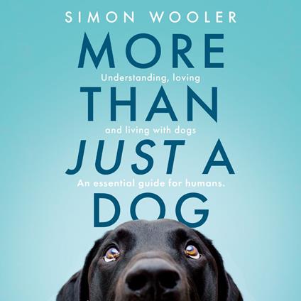More Than Just a Dog: Understanding, loving and living with dogs. An essential guide for humans.
