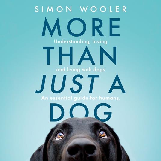 More Than Just a Dog: Understanding, loving and living with dogs. An essential guide for humans.