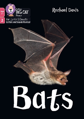 ibs