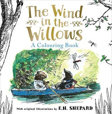 Wind in the Willows Colouring Book - Kenneth Grahame - cover