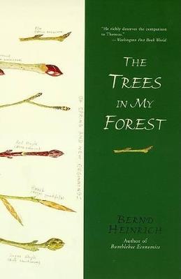 The Trees in My Forest - Bernd Heinrich - cover