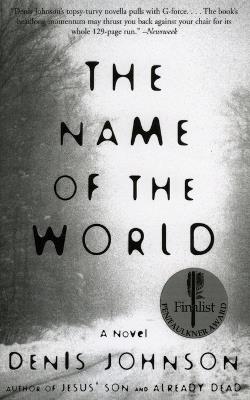 The Name of the World - Denis Johnson - cover
