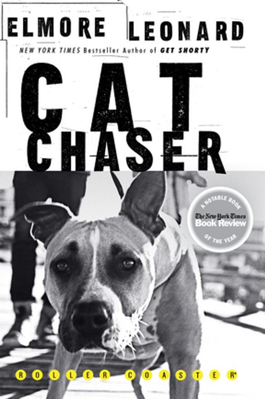 Cat Chaser