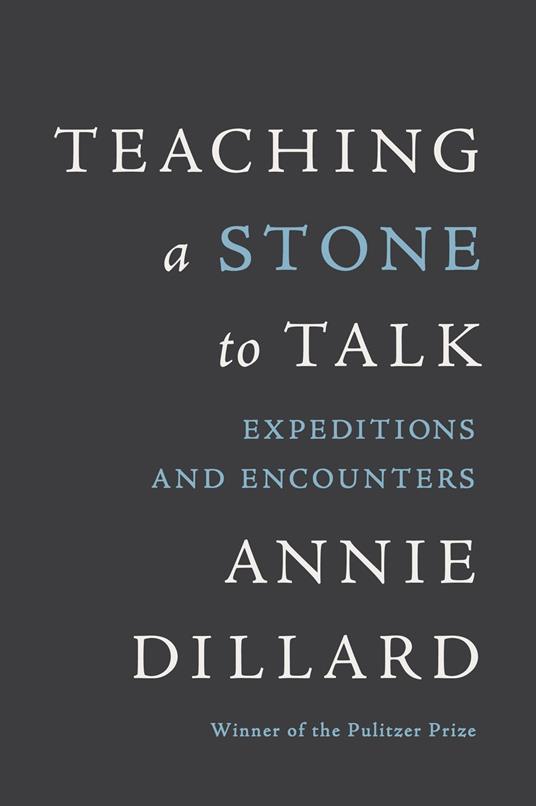 Teaching a Stone to Talk