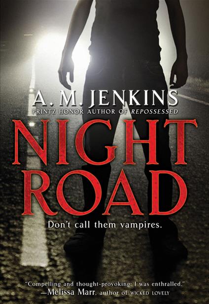 Night Road - A. M. Jenkins - ebook