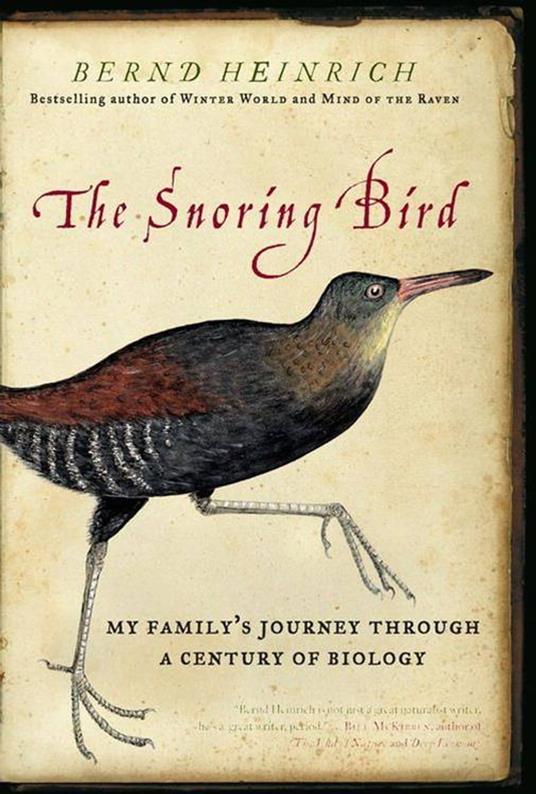 The Snoring Bird