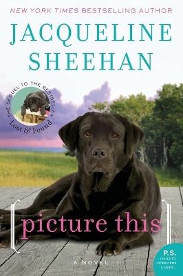 Picture This: A Novel - Jacqueline Sheehan - cover