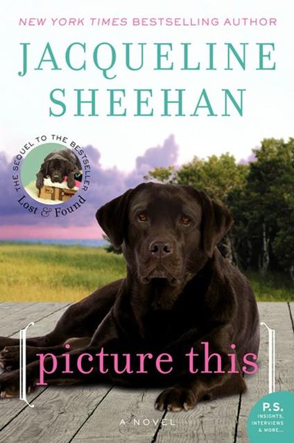 Picture This - Jacqueline Sheehan - ebook