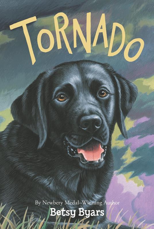 Tornado - Betsy Byars,Doron Ben-Ami - ebook