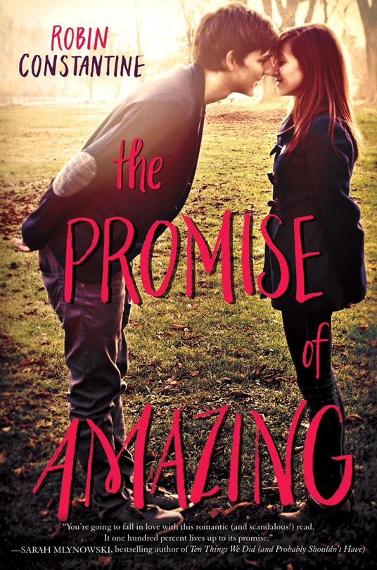 The Promise of Amazing - Robin Constantine - ebook