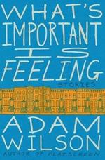 What's Important Is Feeling: Stories
