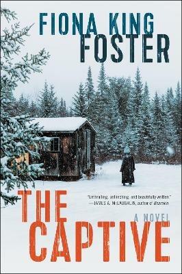 The Captive - Fiona King Foster - cover