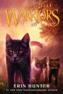 Warriors: A Starless Clan #2: Sky - Erin Hunter - cover