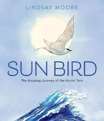 Sun Bird: The Amazing Journey Of The Arctic Tern - Lindsay Moore - cover