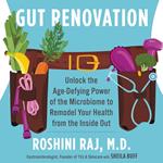 Gut Renovation