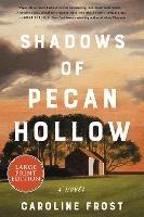 Shadows Of Pecan Hollow: A Novel [Large Print]