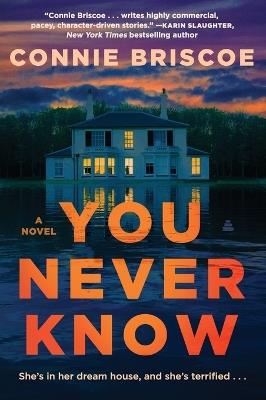 You Never Know: A Novel - Connie Briscoe - cover