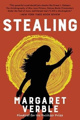 Stealing: A Novel - Margaret Verble - cover