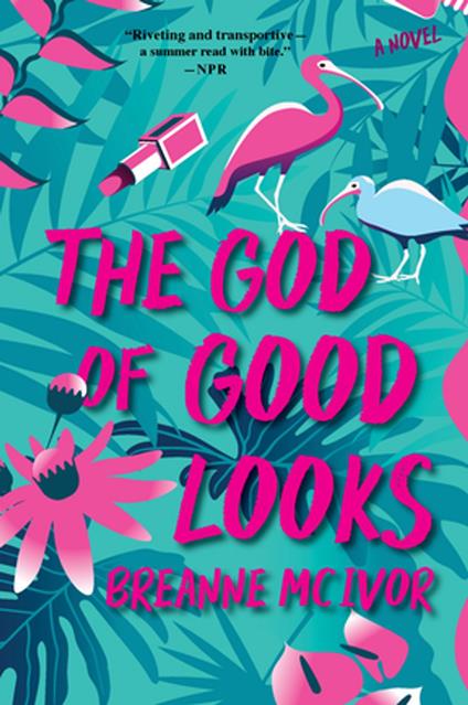 The God of Good Looks - Breanne Mc Ivor - ebook