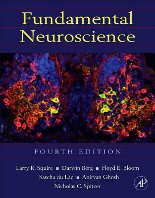 Fundamental Neuroscience - cover
