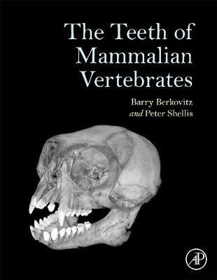 The Teeth of Mammalian Vertebrates - Barry Berkovitz,Peter Shellis - cover