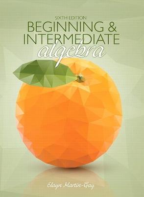 Beginning & Intermediate Algebra - Elayn Martin-Gay - cover