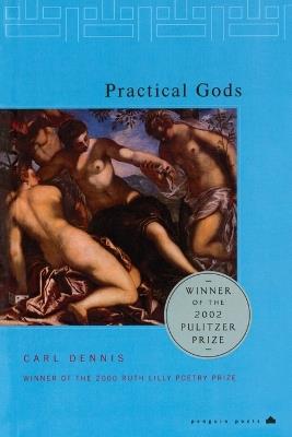 Practical Gods: Pulitzer Prize Winner - Carl Dennis - cover