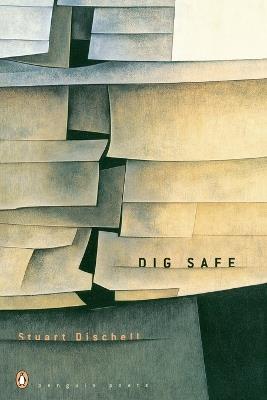 Dig Safe - Stuart Dischell - cover