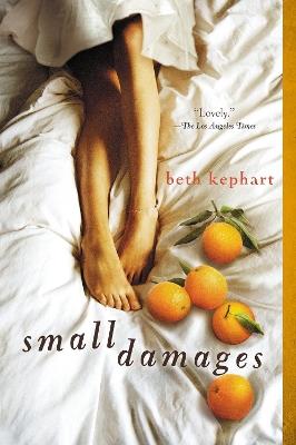 Small Damages - Beth Kephart - cover