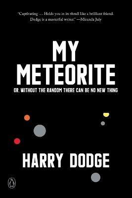 My Meteorite: Or, Without the Random There Can Be No New Thing - Harry Dodge - cover
