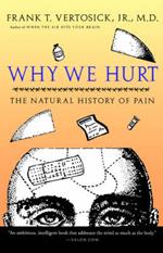 Vertosick Why We Hurt P